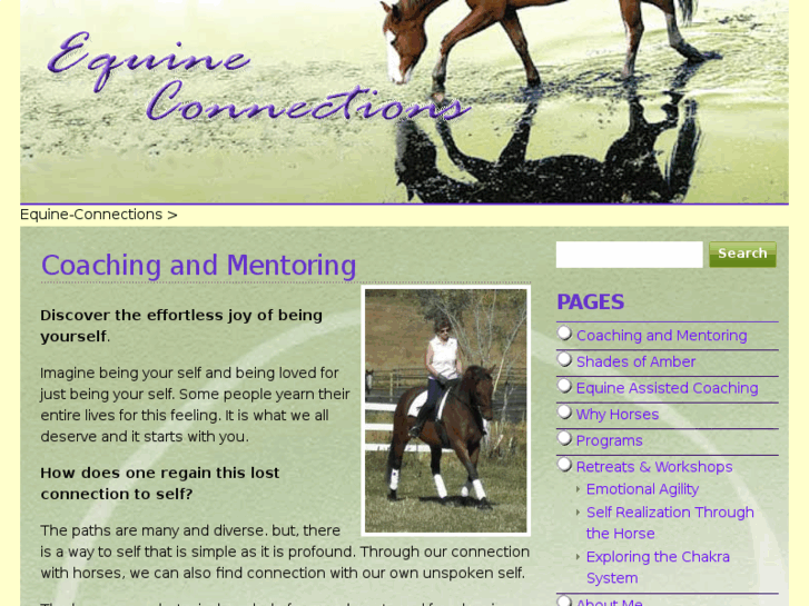 www.equine-connections.com