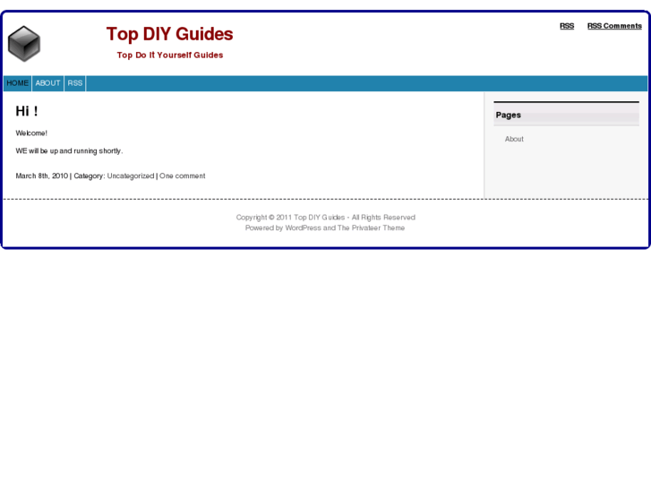 www.topdiyguides.com