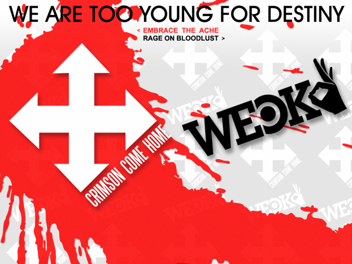 www.wearetooyoungfordestiny.com