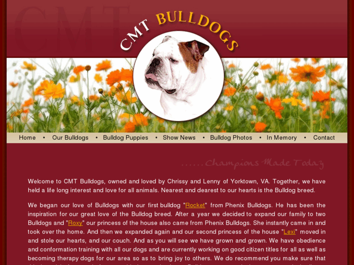 www.cmtbulldogs.com