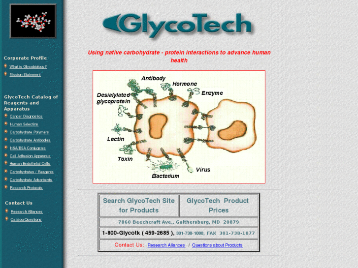 www.glycotech.com