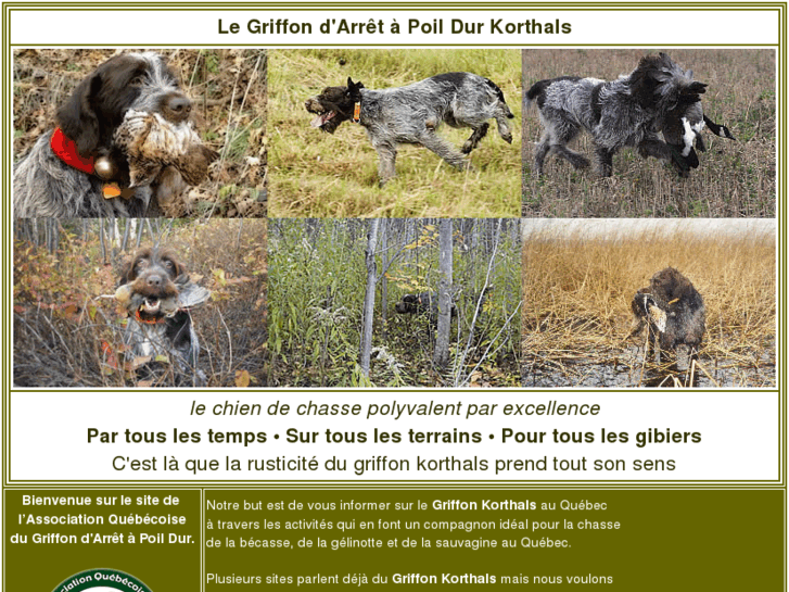 www.griffonkorthals-quebec.com