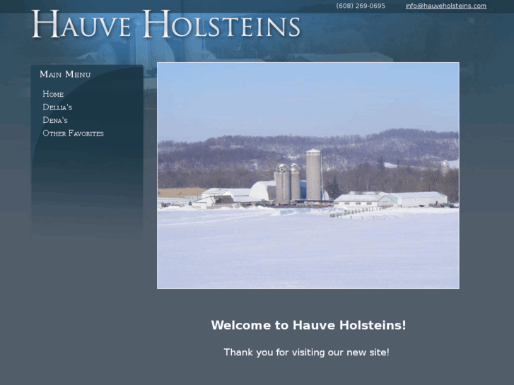 www.hauveholsteins.com