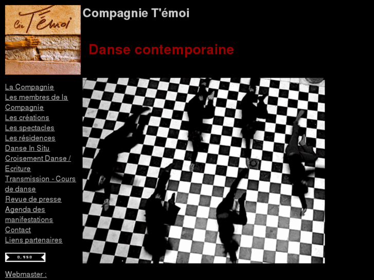 www.compagnie-temoi.com