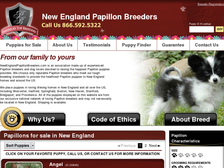 www.newenglandpapillonbreeders.com