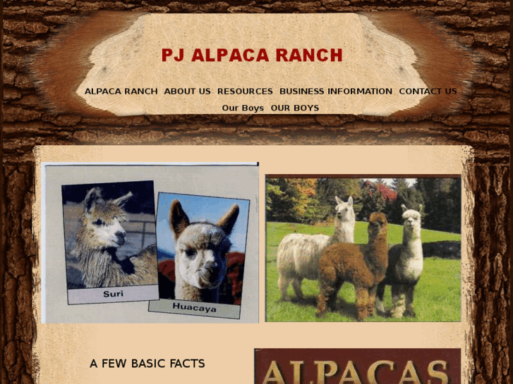 www.pjalpaca.com