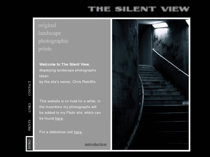 www.thesilentview.com