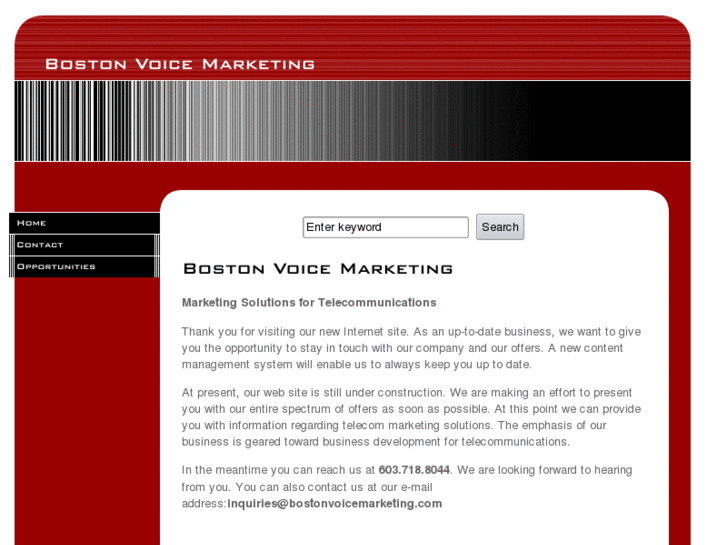 www.bostonvoicemarketing.com