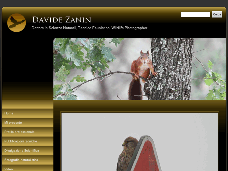 www.davidezanin.com