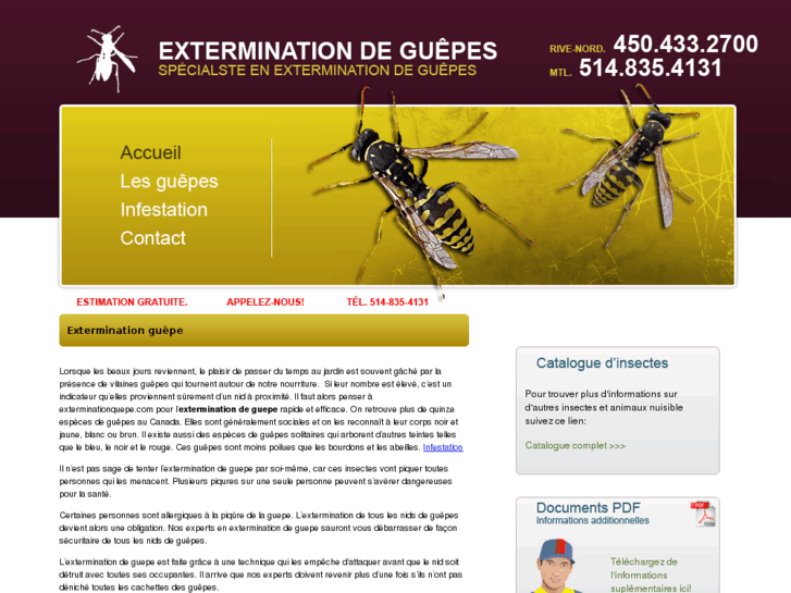 www.exterminationguepe.com