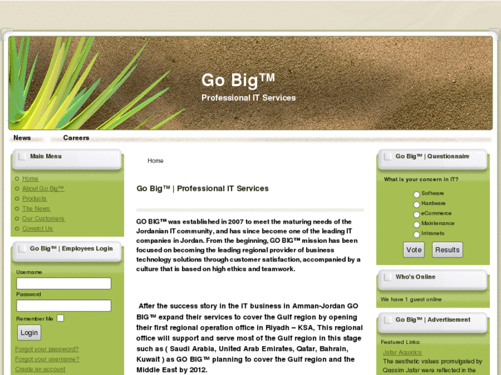 www.gobig-it.net