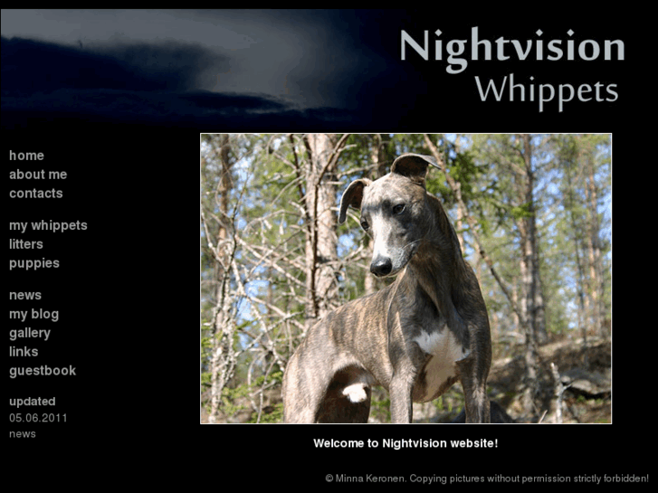 www.nightvisionwhippets.net