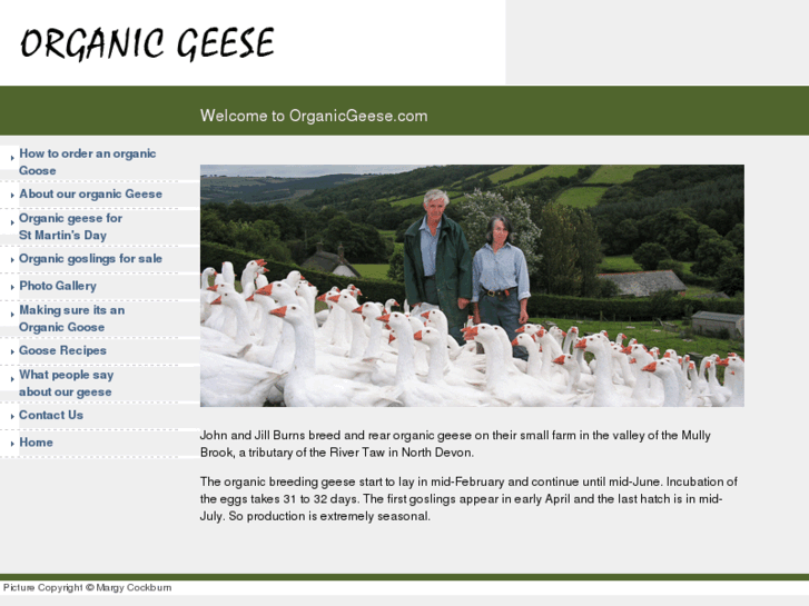 www.organicgeese.com