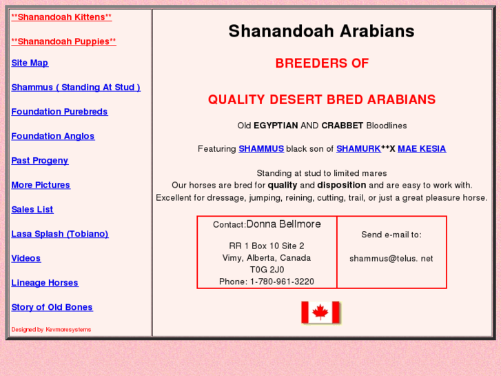 www.shanandoah-arabians.com