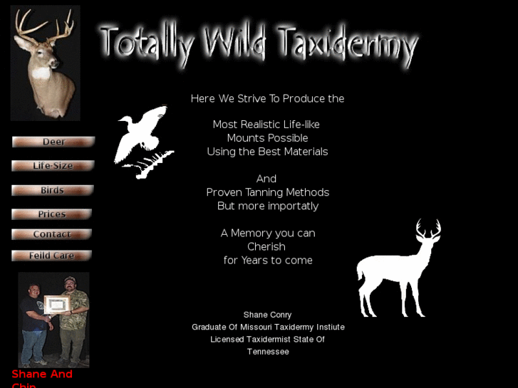 www.totallywildtaxidermy.com