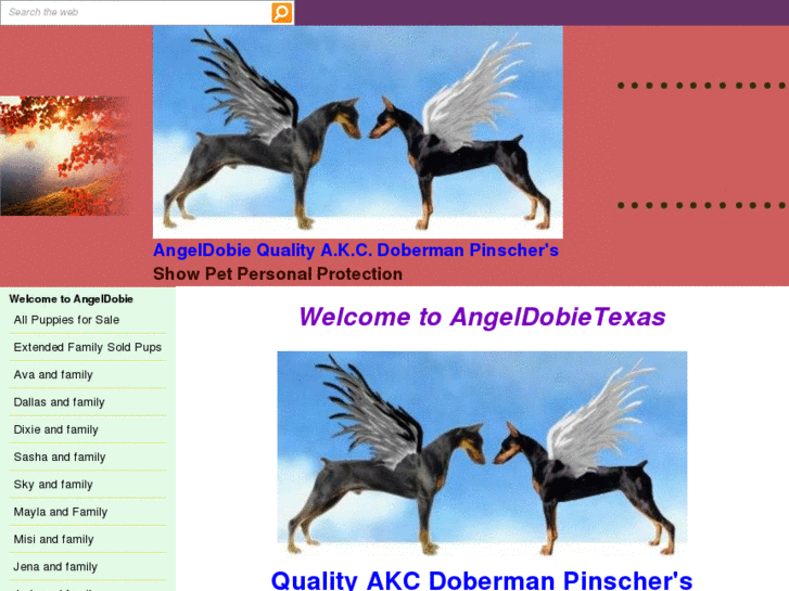 www.angeldobietexas.com