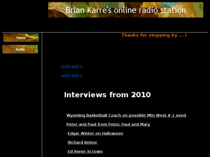 www.briankarreonline.com