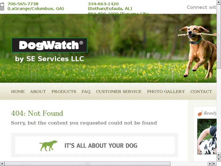 www.dogwatchpanhandle.com