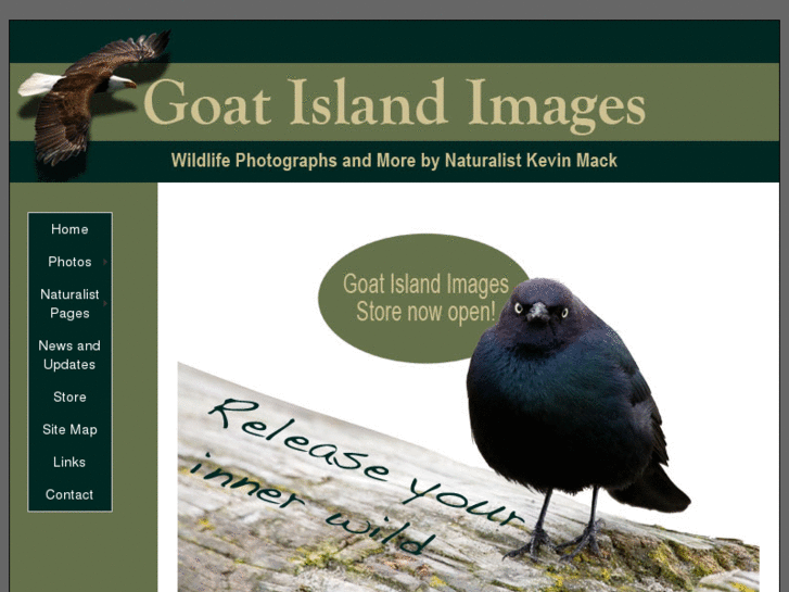 www.goatislandimages.com