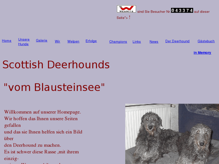 www.hunde-deerhound.de