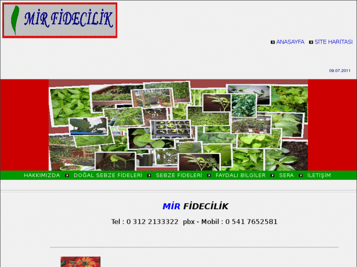 www.mirfidecilik.com