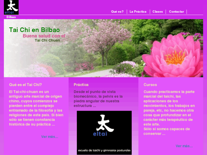 www.taichibilbao.com