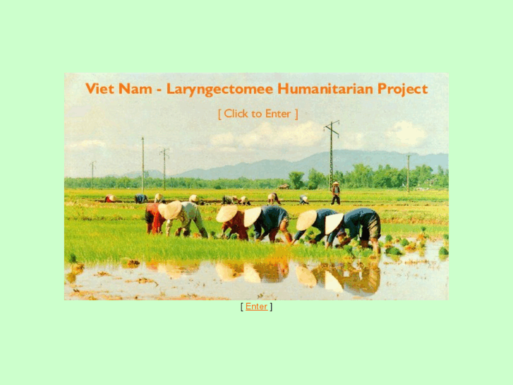 www.vietnamlarynx.org
