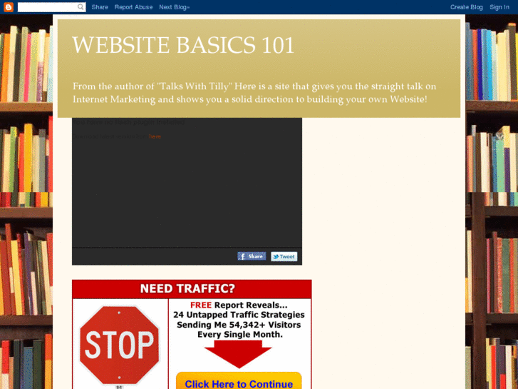 www.websitebasics101.com