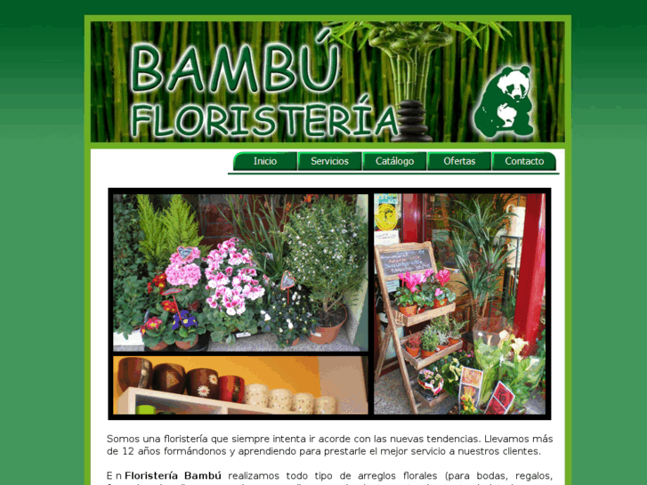 www.bambuflores.es