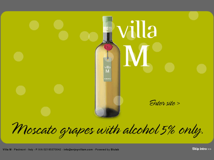 www.enjoyvillam.com