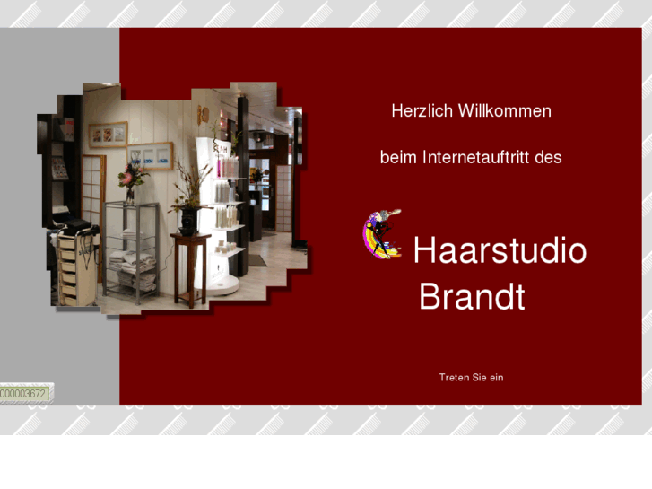 www.haarstudio-brandt.com