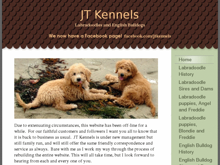 www.jtkennels17.com