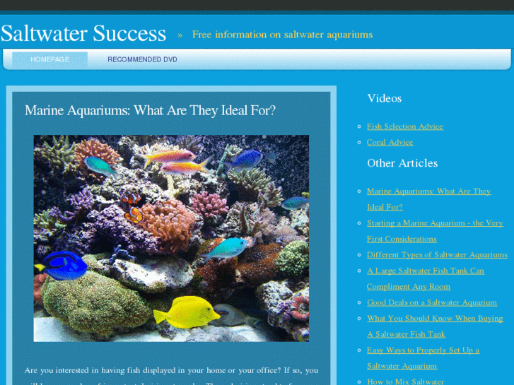 www.saltwatersuccess.com