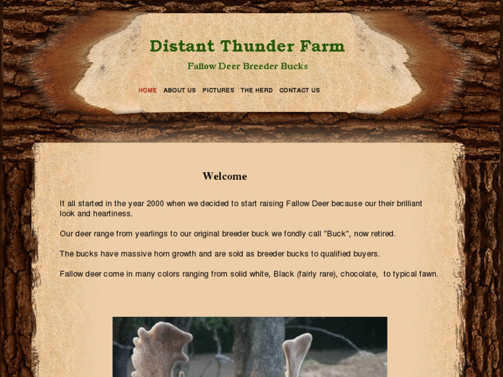 www.distantthunderfarm.com