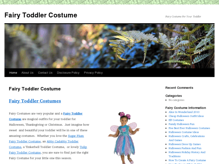 www.fairytoddlercostume.net