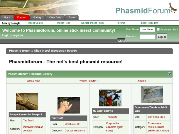 www.phasmidforum.com