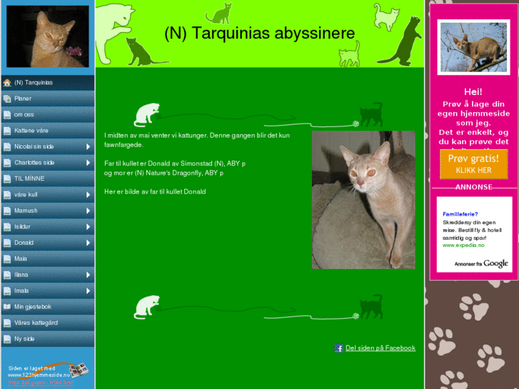 www.tarquinias.net