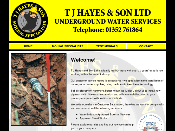 www.tjhayesandson.co.uk