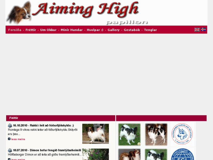 www.aiminghigh.is