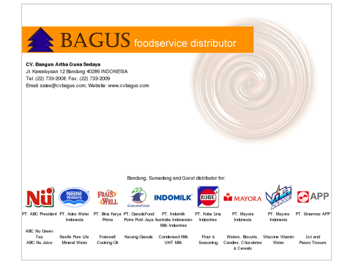 www.cvbagus.com