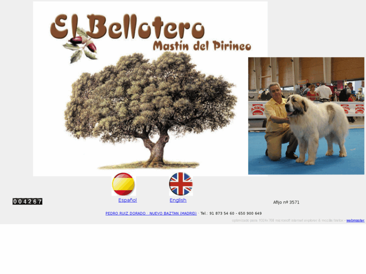 www.elbellotero.com