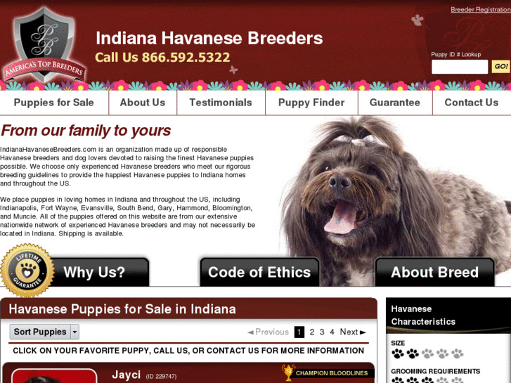 www.indianahavanesebreeders.com