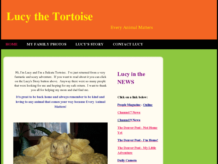 www.lucythetortoise.com