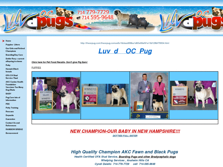 www.luvdpug.com