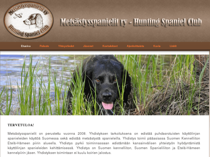 www.metsastysspanielit.com