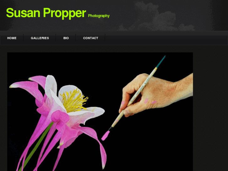 www.susanpropper.com