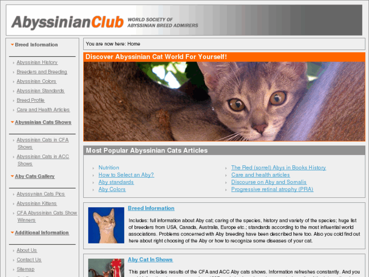 www.abyssinianclub.com