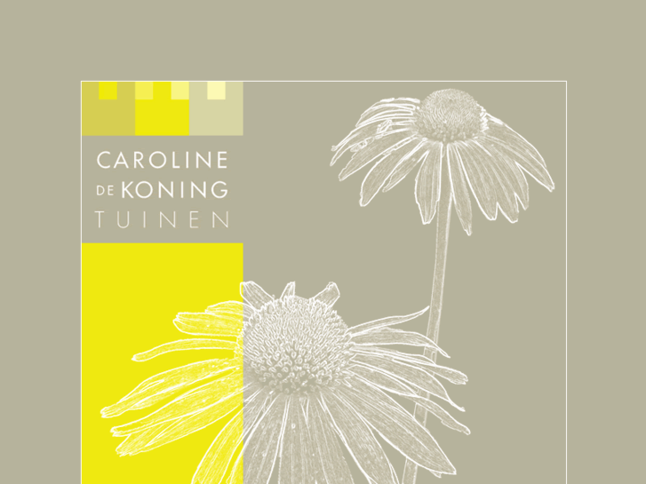 www.carolinedekoning.com