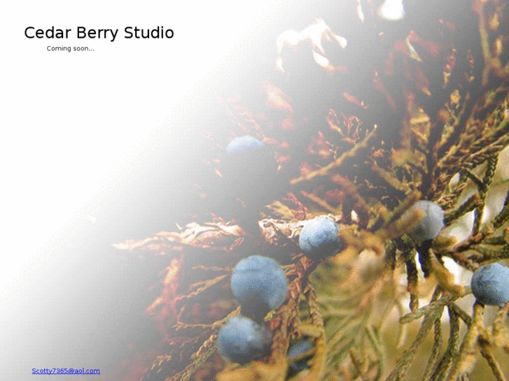 www.cedarberrystudio.com