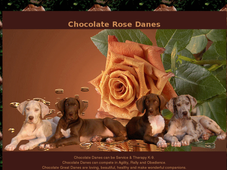 www.chocolaterosedanes.com